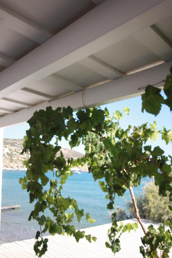 Cyclades Beach Apartments Chrisopigi  외부 사진
